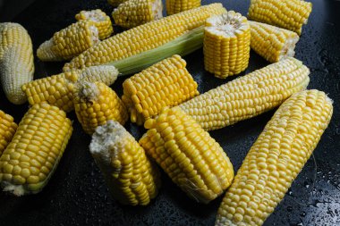 Siyah arka planda taze çiğ mısır koçanları.