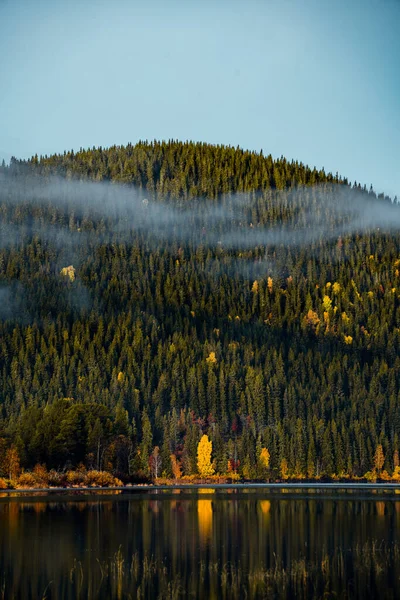 Güzel, sakin bir manzara canlı bir sonbahar yeşilliği sergiliyor. Bereketli ormanlarla çevrili huzurlu bir göle yansıyor.