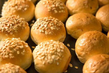 Taze çörek arka plan. Susam ile iştah açıcı buns. Buğday ekmeği susam ile fırından yeni çıkmış