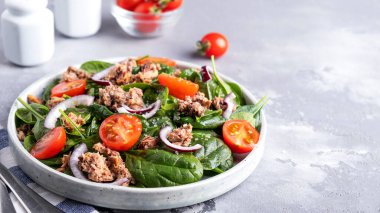 Domatesli lezzetli ton balığı salatası, kırmızı soğan ve ıspanak. Sağlıklı ve diyet gıda konsepti. Boşluğu kopyala