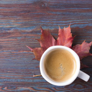 Yemek pişirmek için renkli sebze malzemeleri. Kopyalama alanı