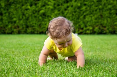 Yeşil çimlerin üzerinde bebek emeklemesi. Yaz zamanı. Çocukluk
