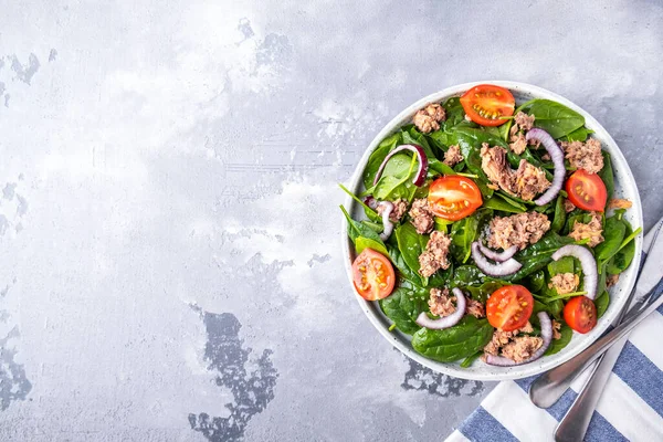 Domatesli ton balığı salatası, kırmızı soğan ve tabakta ıspanak. Üst görünüm, metin alanı