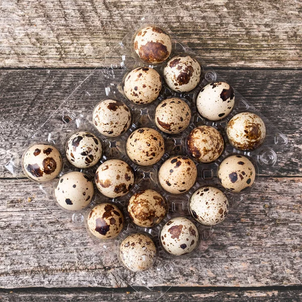 Quail eggs in a plastic tray on wooden background. Top view