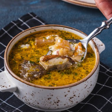 Mantarlı Rus lahana çorbası. Yakın çekim.