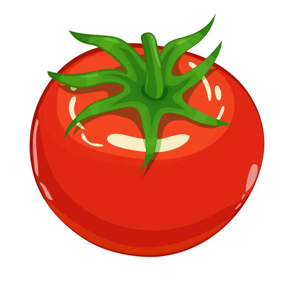 Tomate aislado simple ilustración de dibujos animados — Vector de stock