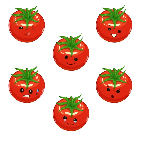 Pomidor. Warzywo wektor ładny zestaw znaków na białym tle — Wektor stockowy
