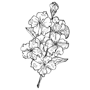 çiçek gravür tarzı