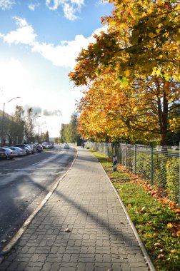 Sonbahar yeşillik yolu. Renkli bir arka plan. Açık hava soyut arkaplanı.