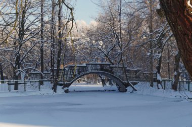 Kuğu gölde kış park. Kosta Khetagurov park, Vladikavkaz, Kuzey Osetya-Alanya, Rusya bir kış sahne. 2014-02-01.