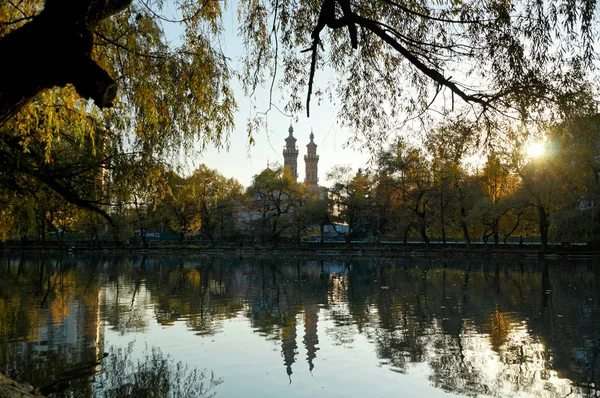 Sonbahar park gölette kuğu.