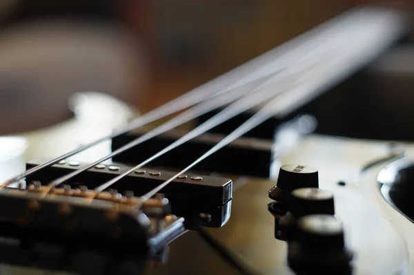 Bir bas gitar köprü - Fender Jazz Bass closeup çekim köprü stil