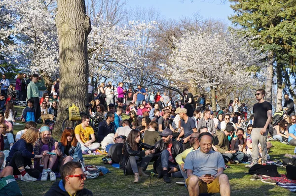 Toronto, Canada - 05 09 2018: High Park Toronto attira molti visitatori in primavera per ammirare i bellissimi ciliegi Sakura in fiore. La maggior parte degli alberi Sakura si trovano intorno Hillside Gardens — Foto Stock
