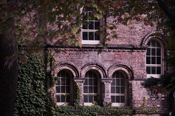 Oude gebouw gevel gemaakt van baksteen met boogramen en klimop hoek gezien door bomen takken frame — Stockfoto