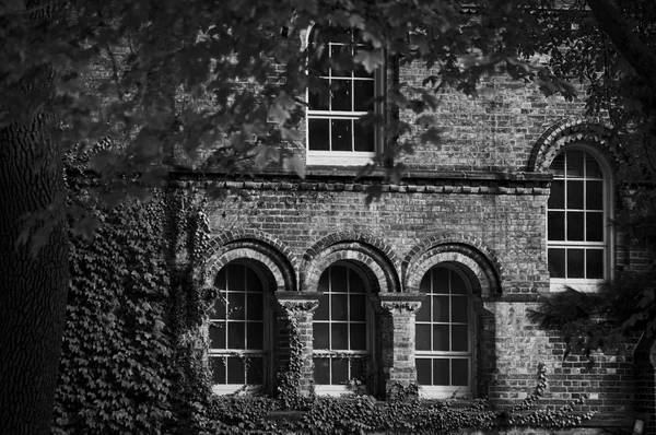 Old building facade made of brick with arch windows and ivy corner seen through trees branches frame — Stock Photo, Image