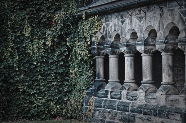 Green branches and leaves of ivy covering the wall step by step conquer ancient stone colonnade — Stock Photo, Image