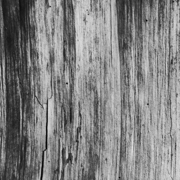 Oude Versleten Hout Textuur Patroon Achtergrond Grijs Monochroom Zwart Wit — Stockfoto