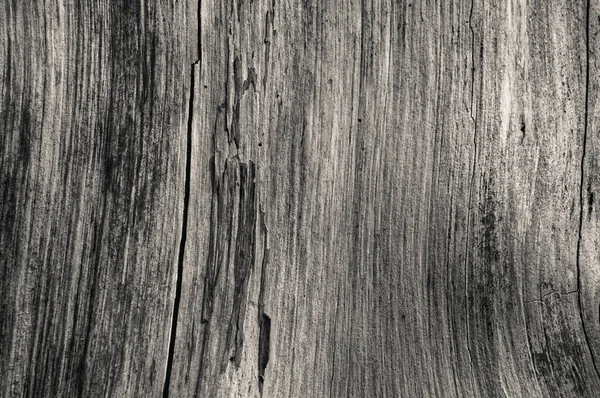 Old worn wood texture pattern background grey, monochrome, black and white, black, white.