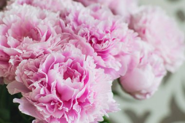 Şık buket pembe renk peonies çok yakın çekim. Herhangi bir tatil için güzel bir çiçek. Çok güzel ve romantik çiçek çiçek dükkanında.