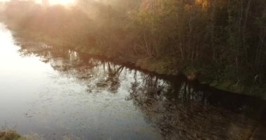 Havadan görünümü. Panoramik sonbahar manzara. Güzel manzara nehir, ağaçlar ve alan. Sabah sis. Hava kamera çekim. Altay, Sibirya.