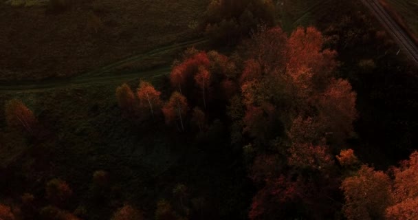 Widok Lotu Ptaka Panoramiczne Jesień Krajobraz Malownicze Rzeki Drzew Pola — Wideo stockowe