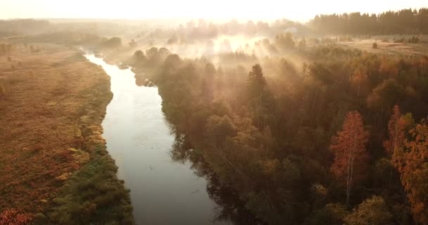 Vista aerea. Panoramico paesaggio autunnale. Il paesaggio pittoresco con fiume, alberi e campo. Nebbia mattutina. Fotocamera aerea scattata. Altai, Siberia . — Video Stock