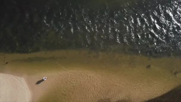 Aereo drone scena di pesca a mosca uomo casting — Video Stock