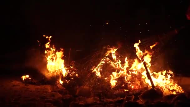 El gran fuego arde contra el fondo de la oscuridad — Vídeos de Stock
