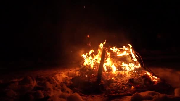 Большой огонь горит на фоне темноты — стоковое видео