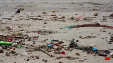 Tropikal denizin sahillerinde kirlilik.