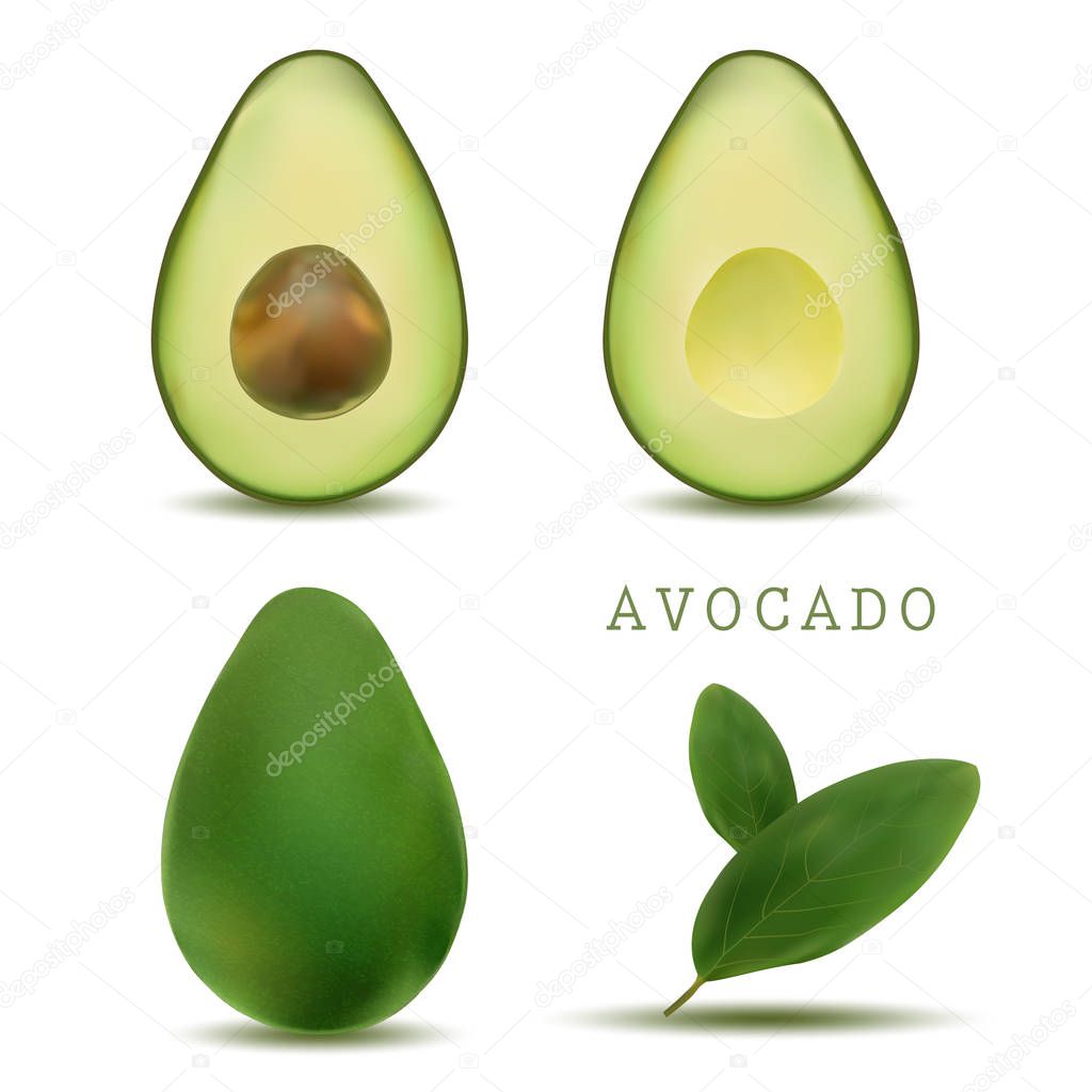 realistic vector avocados illustration. Whole and cut avocado isolated on white background. bright vector set of colorful half, slice and whole of fresh avocado.