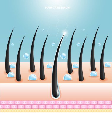 Saç bakım serumu folikül teşhisi. Anatomi derisi, tıbbi insan, üst deri tabakası, vektör illüstrasyon tasarımı.