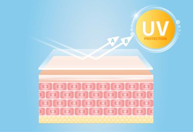 Koruyucu vektör tasarımından sonra UV yansıtma derisi.