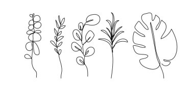 Beyaz arka planda soyut modern çizgi yaprakları. Vektör illüstrasyonları.