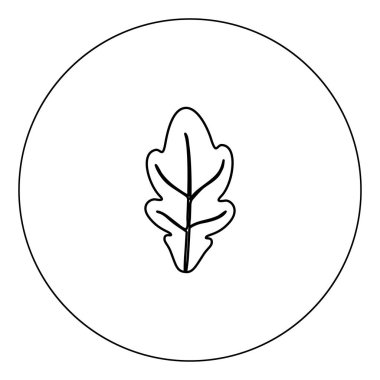 Daire vektör illüstrasyon izole anahat renk meşe yaprağı simge siyah