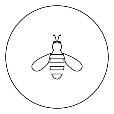 Arı simge siyah renk daire Anahat vektör çizim