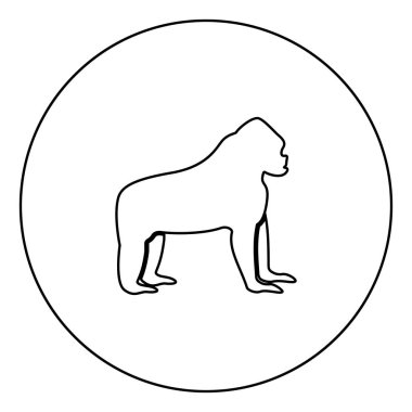 Daire Anahat vektör görüntü illüstrasyon simgesinde siyah goril