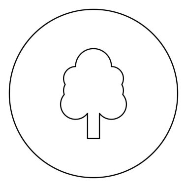 Daire Anahat vektör illüstrasyon izole simgesinde siyah ağaç