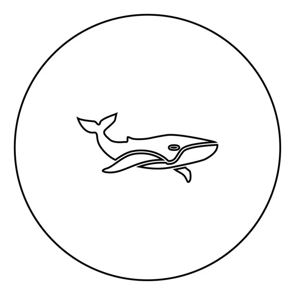 クジラのサークル概要ベクトル図で分離された黒いアイコン — ストックベクタ
