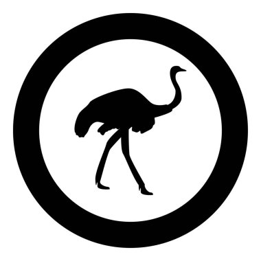 Devekuşu simge siyah renk vektör çizim yuvarlak daire