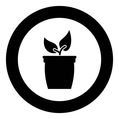 Saksı veya pot bitki simge siyah renkli vektör çizim yuvarlak daire
