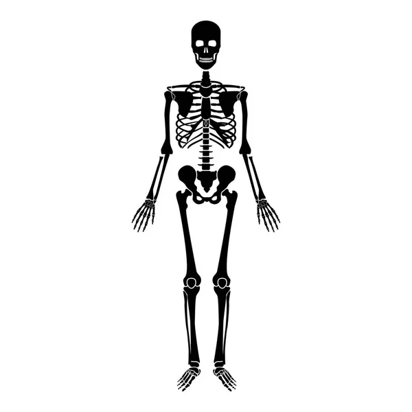 Ανθρώπινο Σκελετό Εικονίδιο Μαύρο Χρώμα Διανυσματικά Εικονογράφηση Επίπεδη Στυλ Απλή — Διανυσματικό Αρχείο
