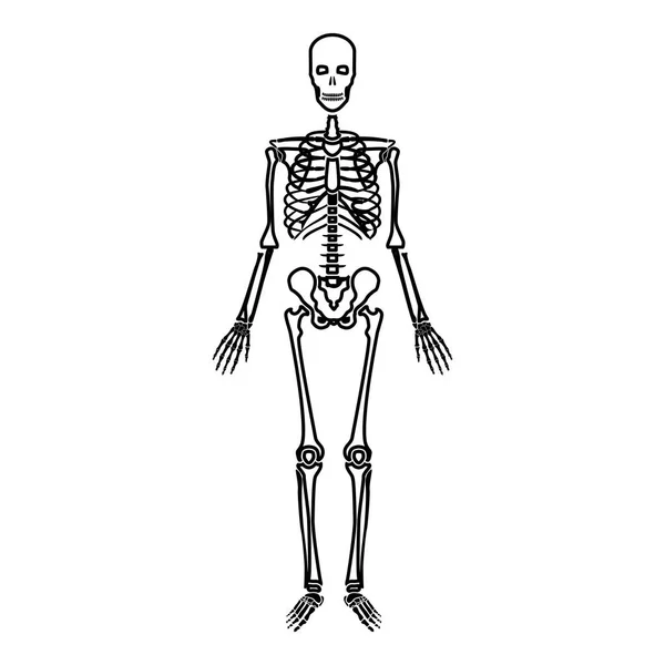 Ícone Esqueleto Humano Cor Preta Vetor Ilustração Estilo Plano Imagem — Vetor de Stock