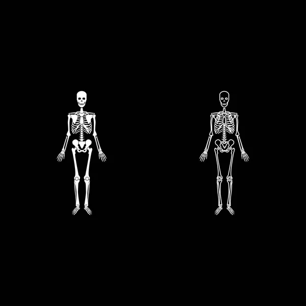 Набір Піктограм Людського Скелета Білого Кольору Векторні Ілюстрації Плоский Стиль — стоковий вектор