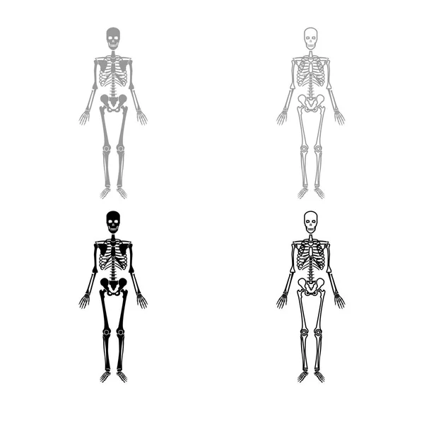 Ícone Esqueleto Humano Conjunto Cinza Cor Preta Ilustração Estilo Plano — Vetor de Stock