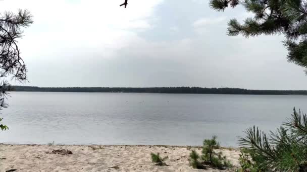 Cennet göl manzaralı pines aracılığıyla kıyısında — Stok video