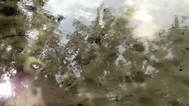 Eau transparente à travers laquelle vous pouvez voir le fond sablonneux — Video