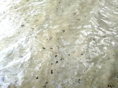 Yaz günü Güneş'in bir yansıması ile göl temiz kumlu alt