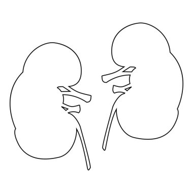 Böbrek siyah renk simgesi vektör illüstrasyon