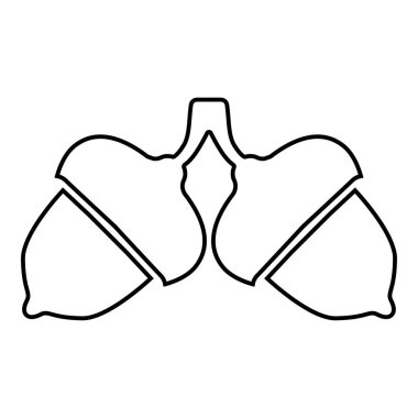 İki meşe palamudu simge siyah renk anahat vektör düz stil görüntü illüstrasyon